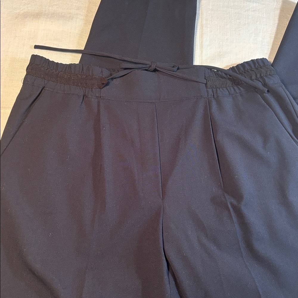 ZARA Basic Black Tapered Slacks Sz L Elastic & Drawstring Waist